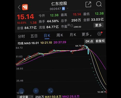 仁东控股股票-仁东控股股票股吧
