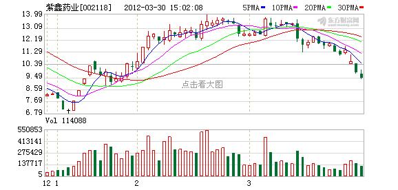 002118股票-002118股票公告