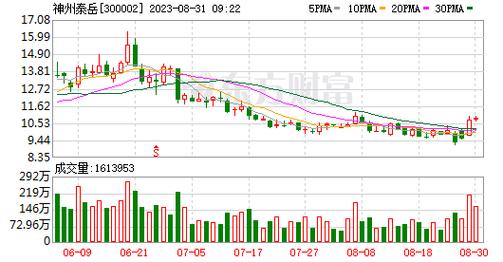 300002神州泰岳-300002神州泰岳股吧
