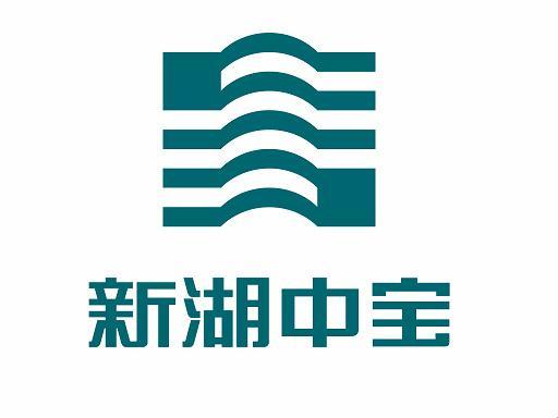 新湖中宝股份-新湖中宝股份有限公司