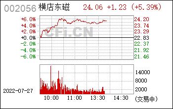 横店东磁股票-横店东磁股票前景如何