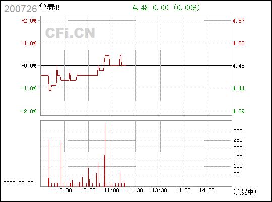 鲁泰b-鲁泰b股票