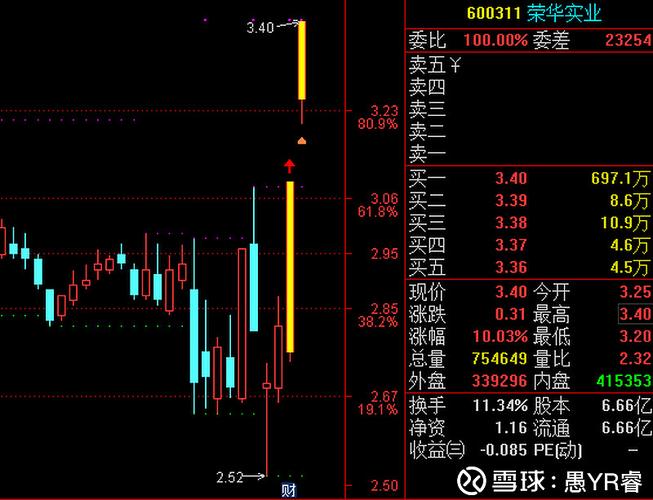 600311荣华实业-600311荣华实业股票股吧