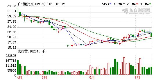 002103股票-002103股票行情