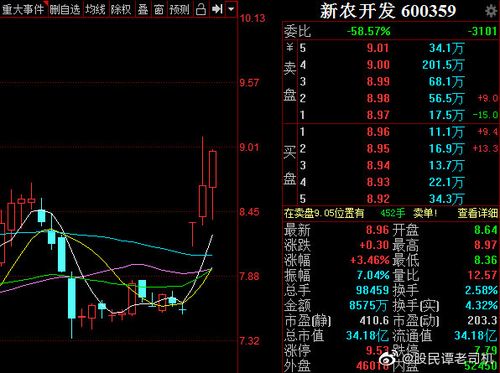 新农开发-新农开发(600359)股吧