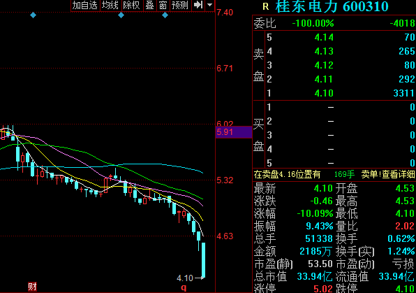 股票600310-股票600310龙虎榜