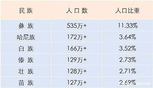 人数-人数最多的少数民族