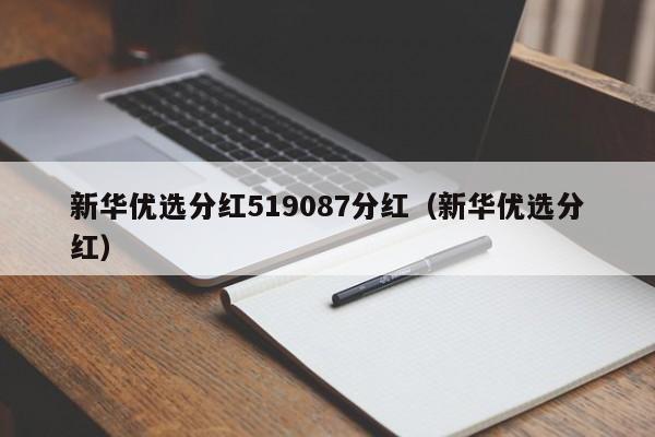 新华优选分红-新华优选分红混合519087