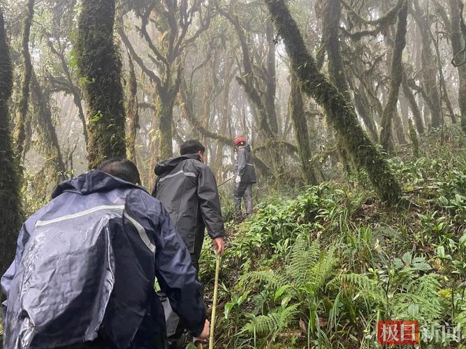 失联地质人员雨衣碎片被发现-失联地质人员雨衣碎片被发现快手极速板