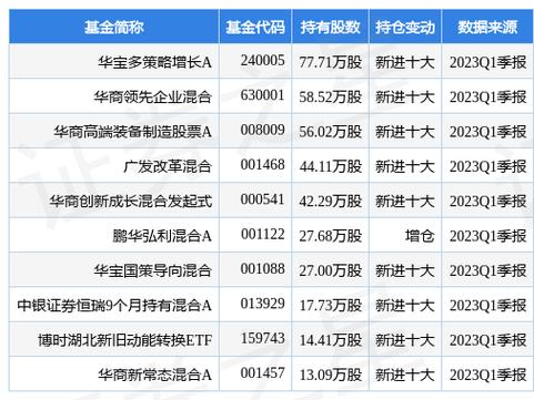 华宝兴业多策略增长-华宝兴业多策略增长基金净值