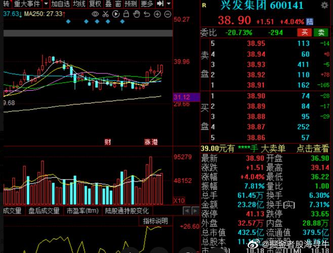 600141兴发集团-600141兴发集团最新评级