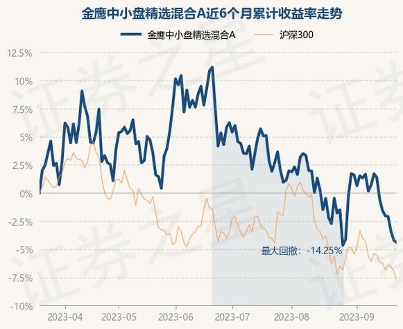 金鹰中小盘-金鹰中小盘基金净值查询