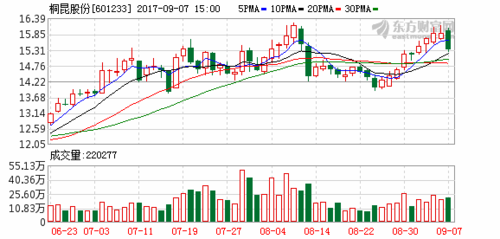 601233股票-601233股票行情