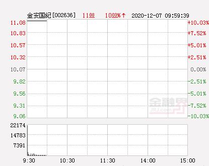 金安国纪股票-金安国纪股票分析