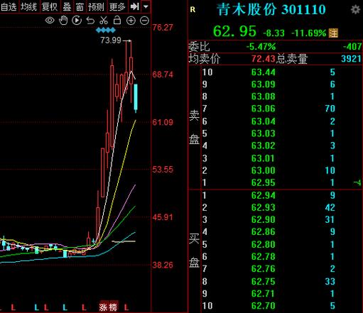 青木股份-青木股份发行价