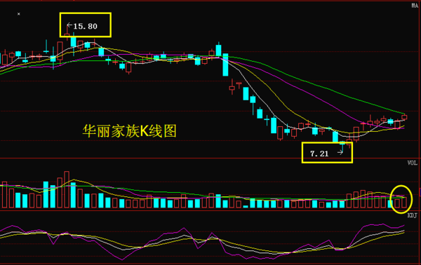 600503-600503华丽家族股吧