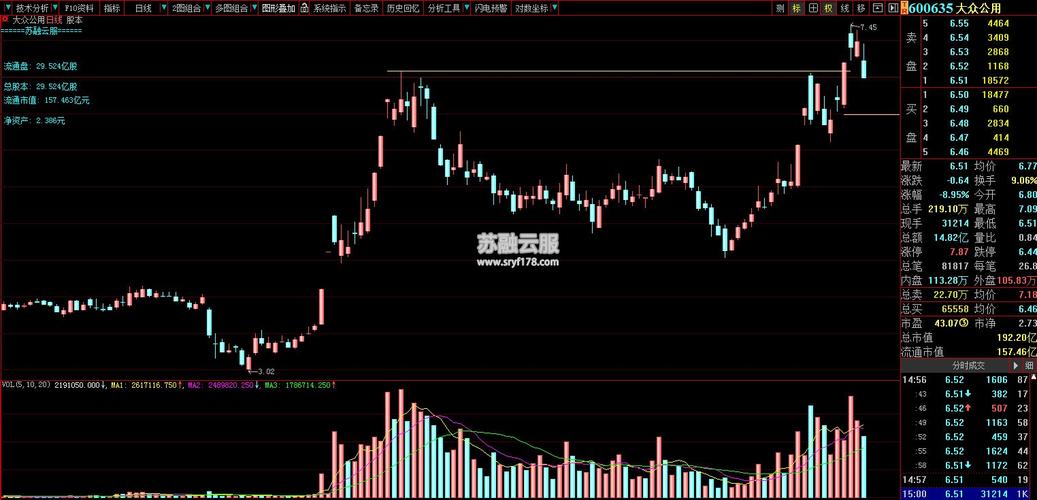 大众公用600635-大众公用集团