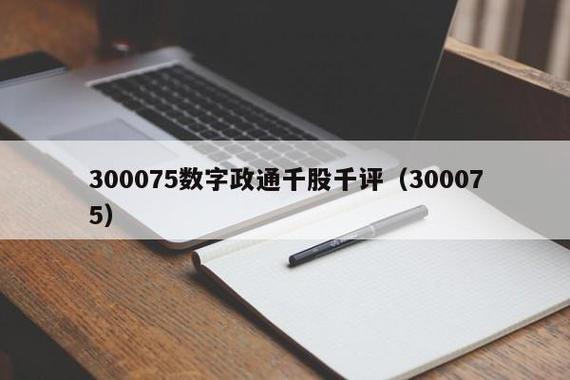 300075-300075数字政通千股千评