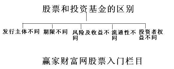 基金重仓股-基金和股票的区别