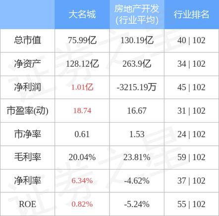 大名城600094-大名城公司简介