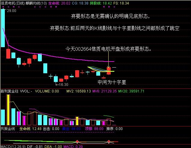 002664-002664资金流向凤凰网