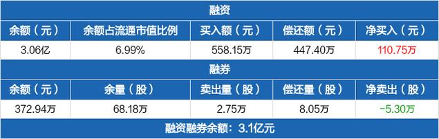 华宇软件-中国最好的软件公司排名